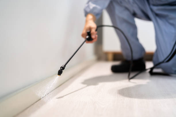 Licensed Termite Control service in Lockport, LA - Nex Pest Control