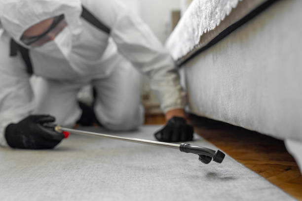 Professional Termite Control technician working in Lockport, LA