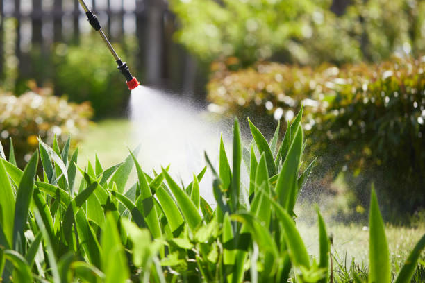 24/7 Emergency Termite Control experts in Lockport, LA