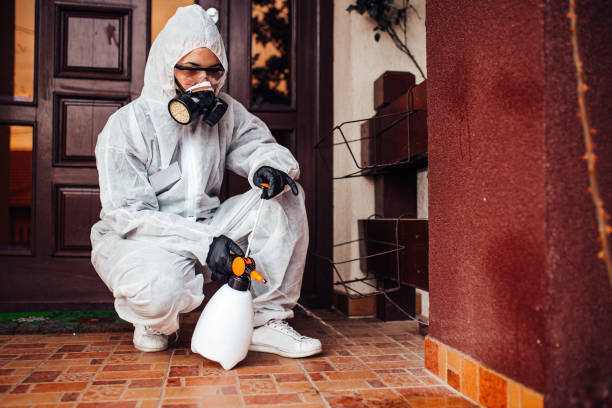 Reliable Termite Control contractor in Lockport, LA by Nex Pest Control