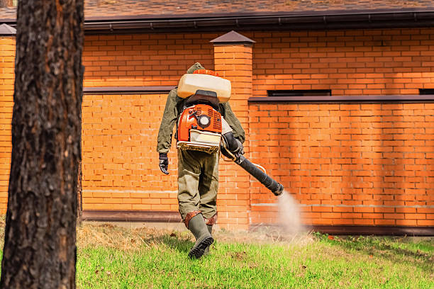 Top rated local Termite Control specialists in Lockport, LA